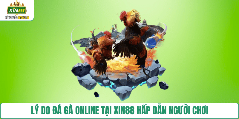 ly-do-da-ga-online-xin88