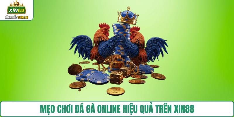meo-choi-da-ga-online-xin88